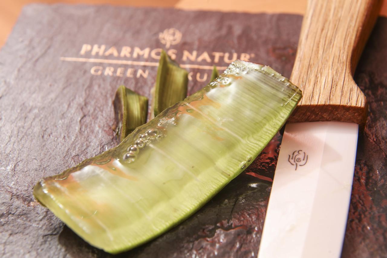 黑森林全景酒店 巴特黑雷纳尔布 外观 照片